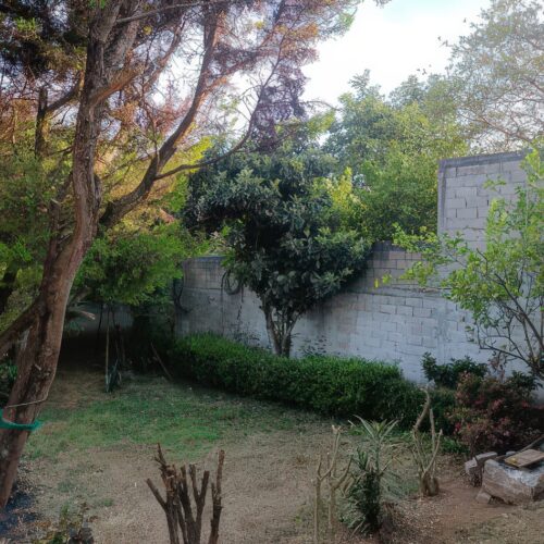 San Simon 02