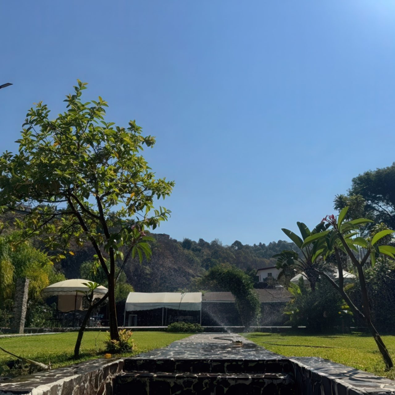 Villa Monarca-04