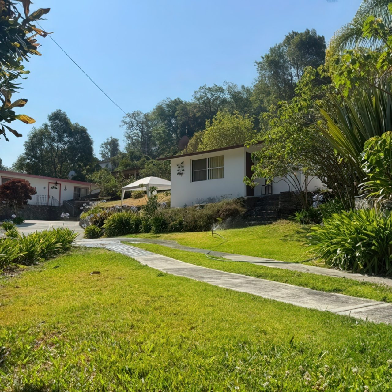 Villa Monarca-05